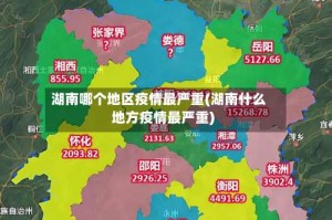 湖南哪个地区疫情最严重(湖南什么地方疫情最严重)