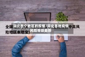 湖北各个地区的疫情/湖北各地疫情风险等级最新