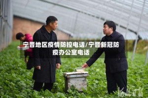 宁晋地区疫情防控电话/宁晋新冠防疫办公室电话