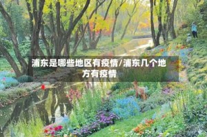 浦东是哪些地区有疫情/浦东几个地方有疫情