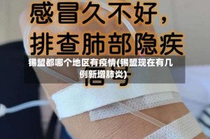 锡盟都哪个地区有疫情(锡盟现在有几例新增肺炎)