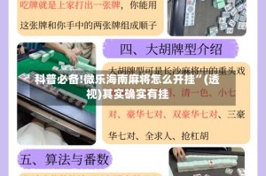 科普必备!微乐海南麻将怎么开挂”(透视)其实确实有挂