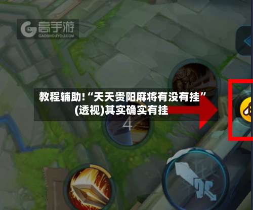 教程辅助!“天天贵阳麻将有没有挂	”(透视)其实确实有挂-第2张图片