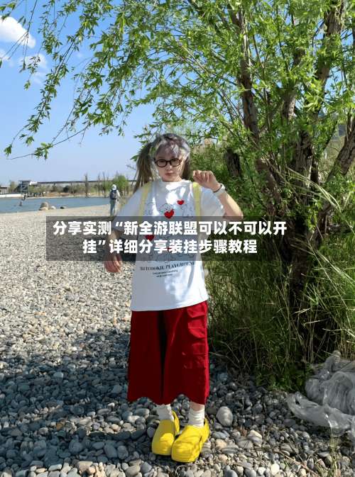 分享实测“新全游联盟可以不可以开挂”详细分享装挂步骤教程-第3张图片