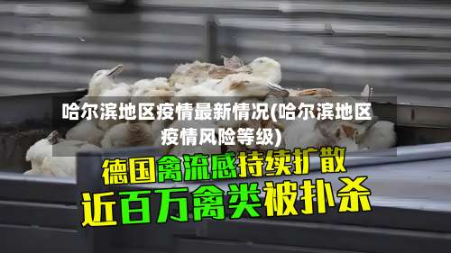 哈尔滨地区疫情最新情况(哈尔滨地区疫情风险等级)-第1张图片