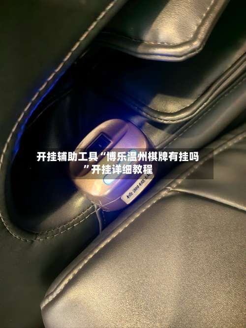 开挂辅助工具“博乐温州棋牌有挂吗	”开挂详细教程-第2张图片