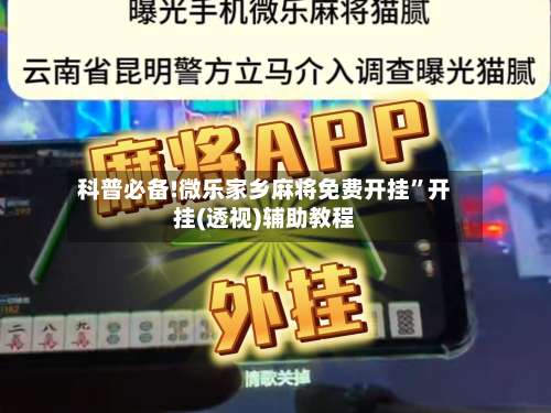 科普必备!微乐家乡麻将免费开挂”开挂(透视)辅助教程-第2张图片