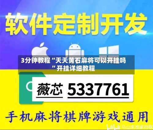 3分钟教程“天天黄石麻将可以开挂吗	”开挂详细教程-第3张图片