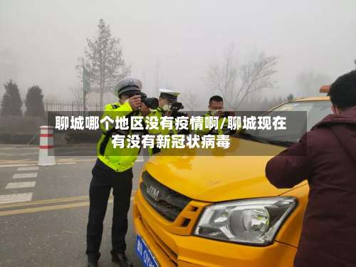 聊城哪个地区没有疫情啊/聊城现在有没有新冠状病毒-第3张图片