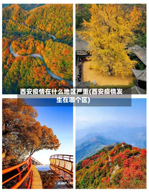 西安疫情在什么地区严重(西安疫情发生在哪个区)-第3张图片