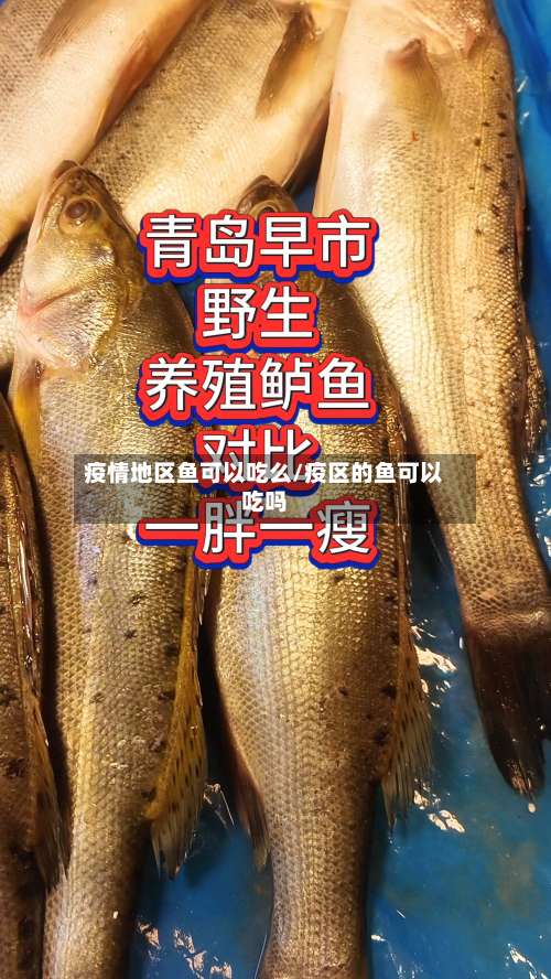 疫情地区鱼可以吃么/疫区的鱼可以吃吗-第2张图片
