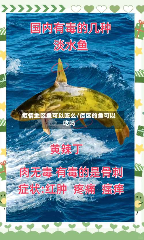 疫情地区鱼可以吃么/疫区的鱼可以吃吗-第1张图片
