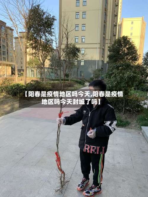 【阳春是疫情地区吗今天,阳春是疫情地区吗今天封城了吗】-第1张图片