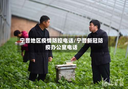 宁晋地区疫情防控电话/宁晋新冠防疫办公室电话-第1张图片
