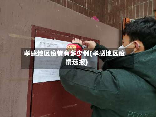 孝感地区疫情有多少例(孝感地区疫情速报)-第1张图片